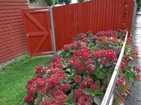 20121010.jpg
