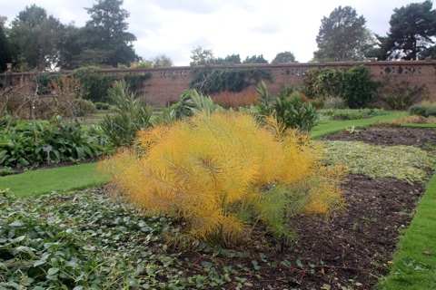 20121105.jpg
